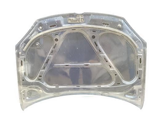 Hood VW GOLF V (1K1)  | BP19131405C1 