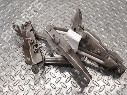 Used Hinge/Door check strap OPEL INSIGNIA A (G09) [2008-2017]  14233532