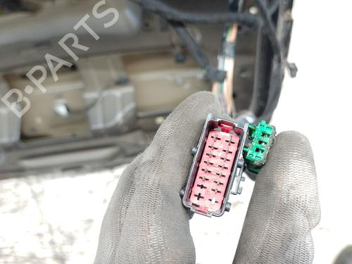 Tailgate CITROËN C4 Picasso I MPV (UD_) 2.0 HDi 138 | BP29210759C6 