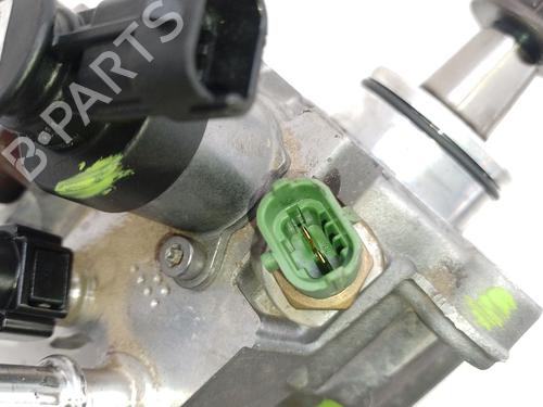 Injection pump JAGUAR XF II (X260) 2.0 D | BP29748179M78 