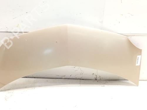 hood-renault-modus-grand-modus-fjp0_-2004-36913197 main image