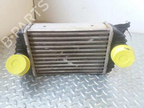 Used Intercooler FIAT STILO (192_) 1.9 D Multijet (100 hp) 5884205