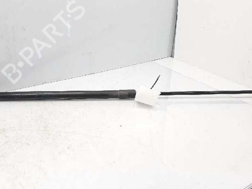 Used Hood lift support RENAULT MEGANE III Hatchback (BZ0/1_, B3_) 1.5 dCi (BZ0C) (90 hp) 14232936