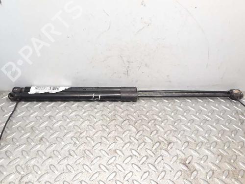 Used Tailgate lift support FORD FOCUS III [2010-2020]  14229246