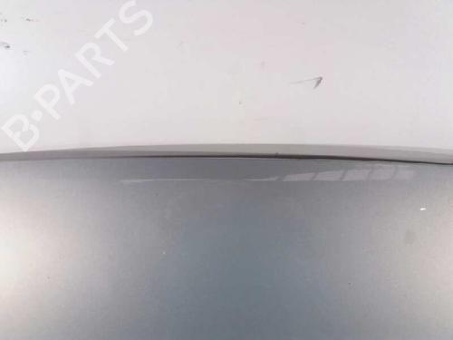 Hood FORD FIESTA V (JH_, JD_) 1.4 TDCi | BP4967000C1 