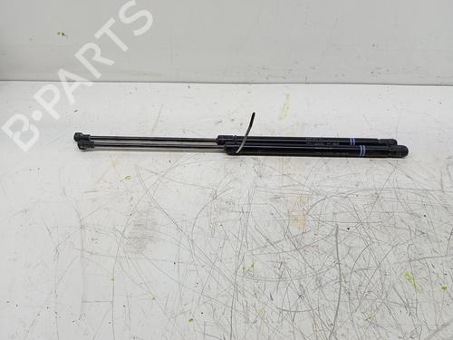 Used Tailgate lift support Tailgate lift support VW GOLF VIII (CD1, DA1) 1.0 TSI (110 hp) 36112236 36112236