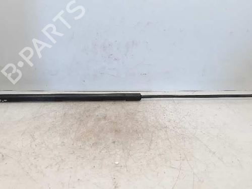 Used Hood lift support VW PASSAT B6 (3C2) [2005-2010]  14233291