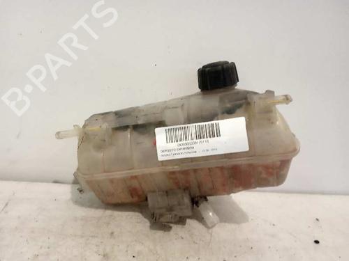 Used Expansion tank RENAULT KANGOO / GRAND KANGOO II (KW0/1_) [2008-2025]  3549280