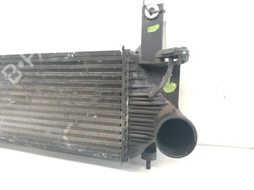 Intercooler NISSAN PATHFINDER III (R51)  | BP19781698M30 