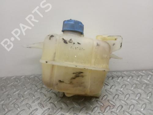Expansion tank FIAT FIORINO Box Body/MPV (225_) 1.3 D Multijet (225BXD1A, 225BXB1A, 225BXB11) | BP8530348C120 
