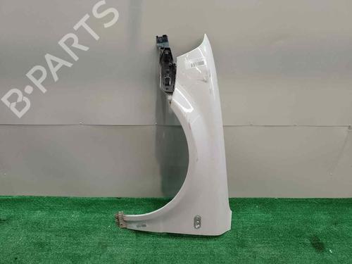 Left front fenders VW PASSAT B5.5 (3B3) 1.9 TDI (130 hp) 17632642