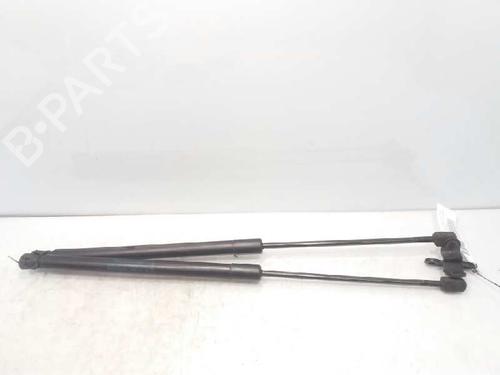 Used Tailgate lift support FORD FIESTA VI (CB1, CCN) [2008-2017]  14232872