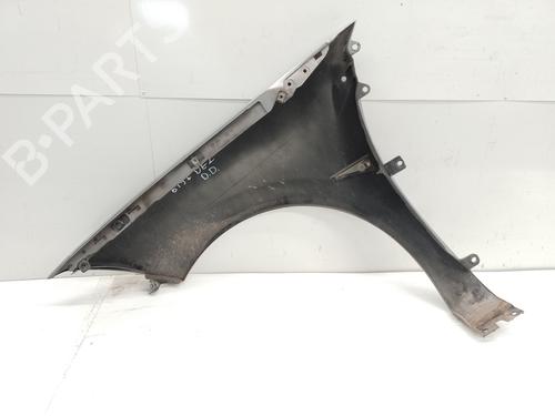 Right front fenders RENAULT MEGANE II (BM0/1_, CM0/1_)  | BP18421096C42 