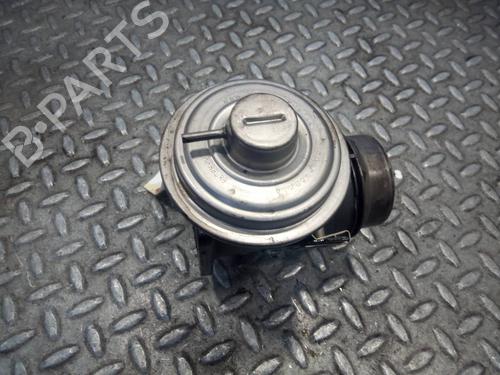 Egr BMW 3 (E46)  | BP13313117M69 