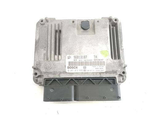 Used Control unit CHEVROLET CAPTIVA (C100, C140) 2.0 D 4WD (150 hp) 24110144