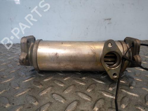 Egr BMW 3 (E46)  | BP14226494M69 