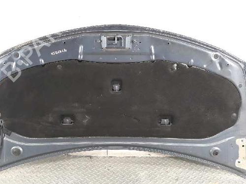 Hood RENAULT CLIO III (BR0/1, CR0/1)  | BP5450288C1 