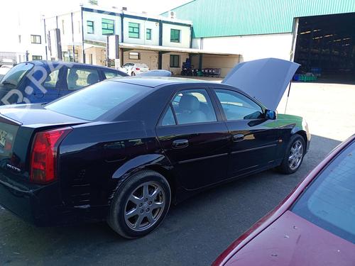 - Image 7