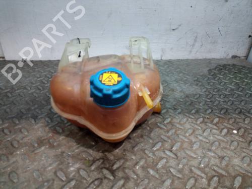 Used Expansion tank FIAT GRANDE PUNTO (199_) 1.3 D Multijet (199.AXD11, 199.AXD1A, 199.AXD1B,... (90 hp) 16747601