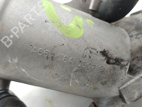 Oil radiator SSANGYONG ACTYON I 2.0 Xdi | BP30858426M33