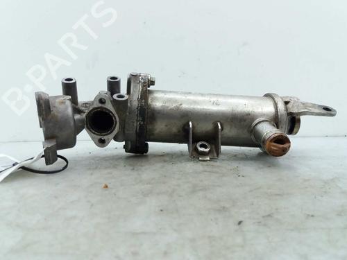 Used Egr LAND ROVER DISCOVERY III (L319) 2.7 TD 4x4 (190 hp) 14230513