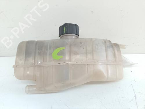 Expansion tank RENAULT CLIO III (BR0/1, CR0/1)  | BP19440618C120 