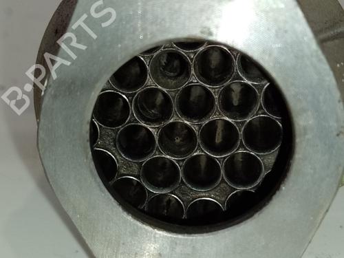 Egr LAND ROVER FREELANDER I (L314)  | BP24106055M69 