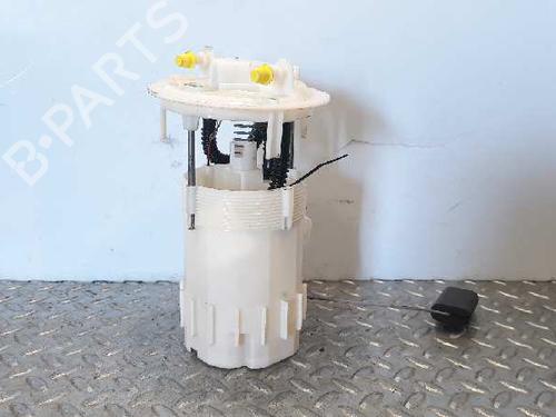 Fuel pump RENAULT MEGANE II (BM0/1_, CM0/1_)  | BP5851269M76 