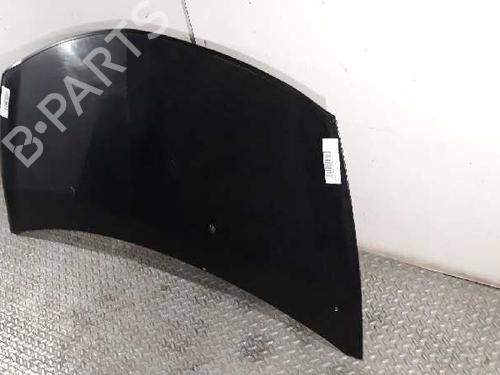 Hood RENAULT CLIO III (BR0/1, CR0/1)  | BP5888167C1 
