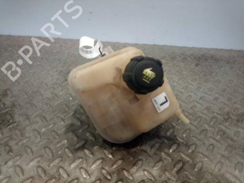 Used Expansion tank NISSAN QASHQAI / QASHQAI +2 I (J10, NJ10, JJ10E) [2006-2014]  17003727