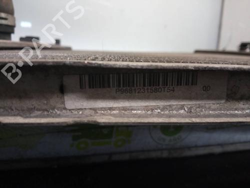 Water radiator PEUGEOT 207 (WA_, WC_)  | BP16335226M31 