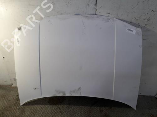 Used Hood VW GOLF IV (1J1) 1.6 16V (105 hp) 16013313