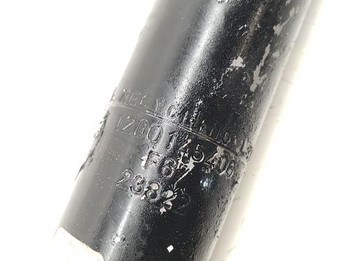 Left rear shock absorber RENAULT EXPRESS Box Body/MPV  | BP29568696M18 