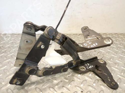 Used Hinge/Door check strap SEAT ALTEA (5P1) [2004-2015]  14234332