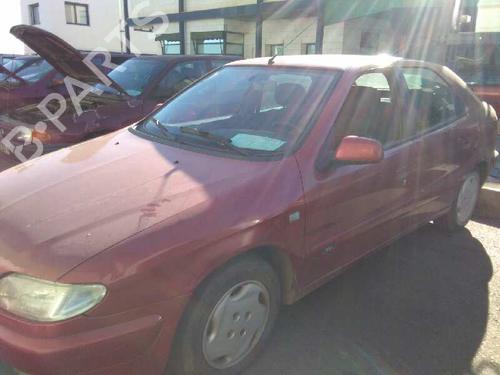 Køler CITROËN XSARA (N1)  | BP5286231M31 