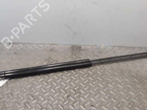 Used Hood lift support BMW 7 (E65, E66, E67) [2001-2009]  14235761