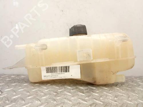 Ekpansionstank RENAULT CLIO III (BR0/1, CR0/1) 1.5 dCi (BR17, CR17) (86 hp) 6335221