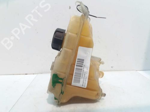 Expansion tank PEUGEOT 407 (6D_)  | BP3073829C120 