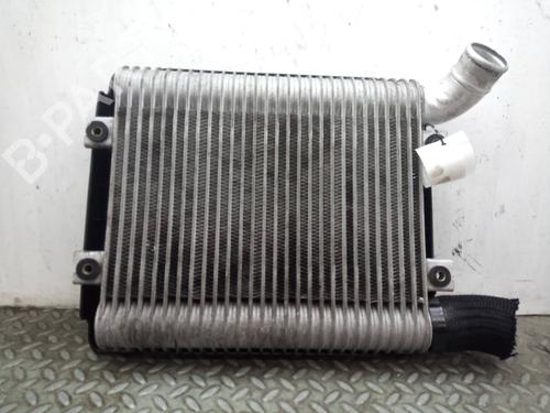 Used Intercooler HYUNDAI SANTA FÉ I (SM) [2000-2006]  16249643