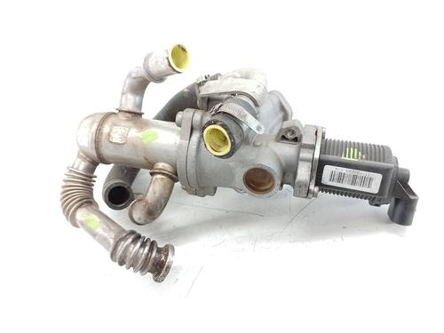 Egr FIAT DOBLO Cargo (263_) 1.3 D Multijet | BP18905669M69 