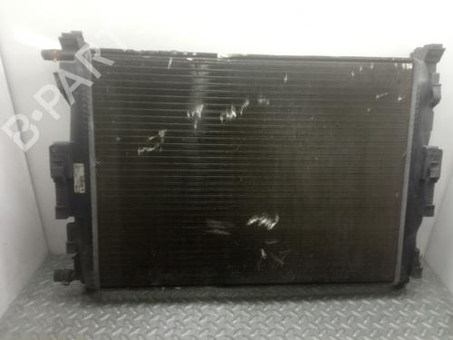 Køler RENAULT MEGANE II (BM0/1_, CM0/1_) [2001-2012]  11200800