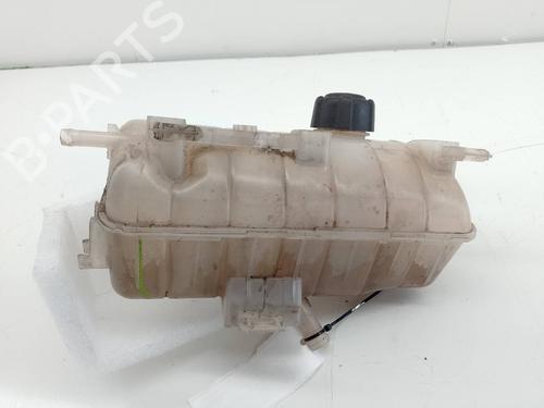 Used Expansion tank RENAULT KANGOO Express (FW0/1_) 1.5 dCi 70 (FW0A, KW0V) (68 hp) 18065749