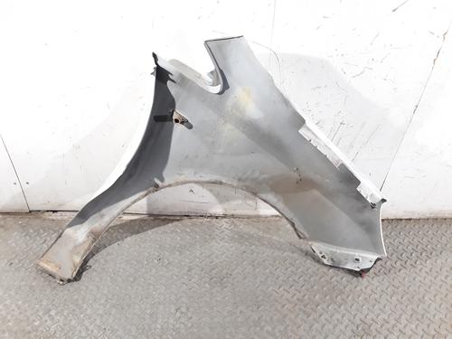 Left front fenders OPEL CORSA D (S07) 1.3 CDTI (L08, L68) | BP10361198C41 