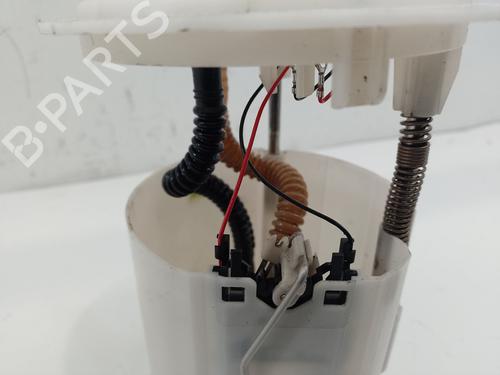 Fuel pump RENAULT MEGANE III Hatchback (BZ0/1_, B3_)  | BP24110123M76 