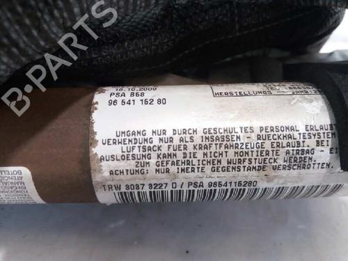 Left curtain airbag CITROËN C4 Picasso I MPV (UD_)  | BP4665089C11 
