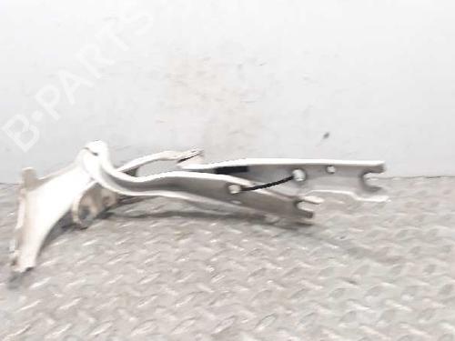 Hinge/Door check strap SKODA RAPID (NH3, NK3, NK6)  | BP14235220C146 