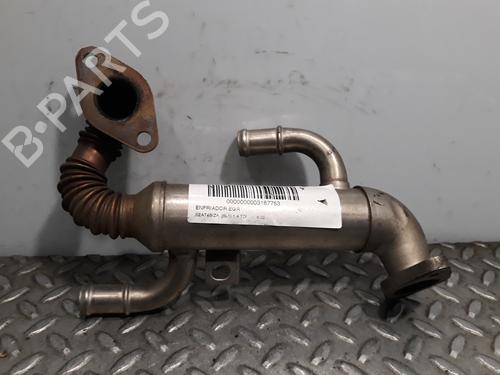 Used Egr SEAT IBIZA III (6L1) [2002-2009]  14227886