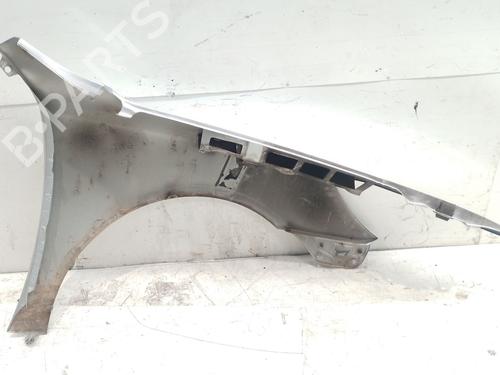Left front fenders SKODA OCTAVIA II (1Z3) 1.9 TDI | BP26593943C41 