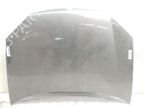 Used Hood VW GOLF V (1K1) 1.9 TDI (105 hp) 29004605