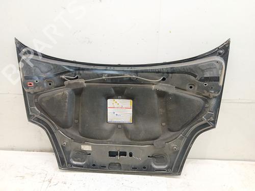 Hood FIAT GRANDE PUNTO (199_)  | BP12522239C1